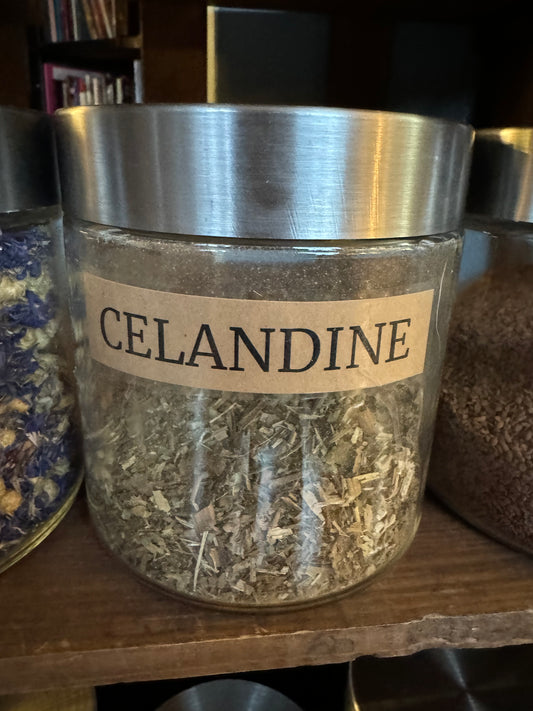 (Greater) Celandine, dried, cut, organic