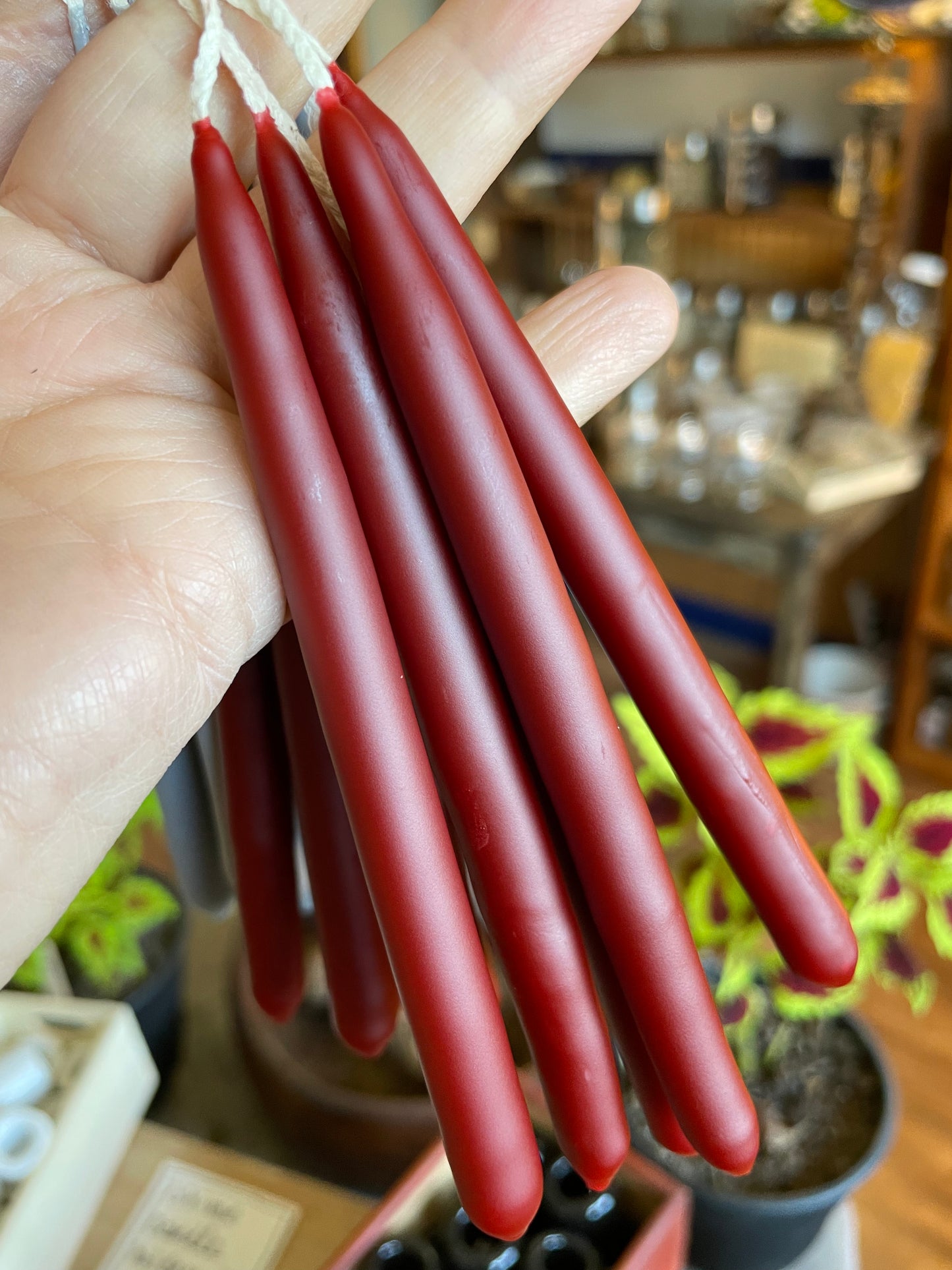 Swallow’s Nest Hand Dipped Beeswax Spell Candles