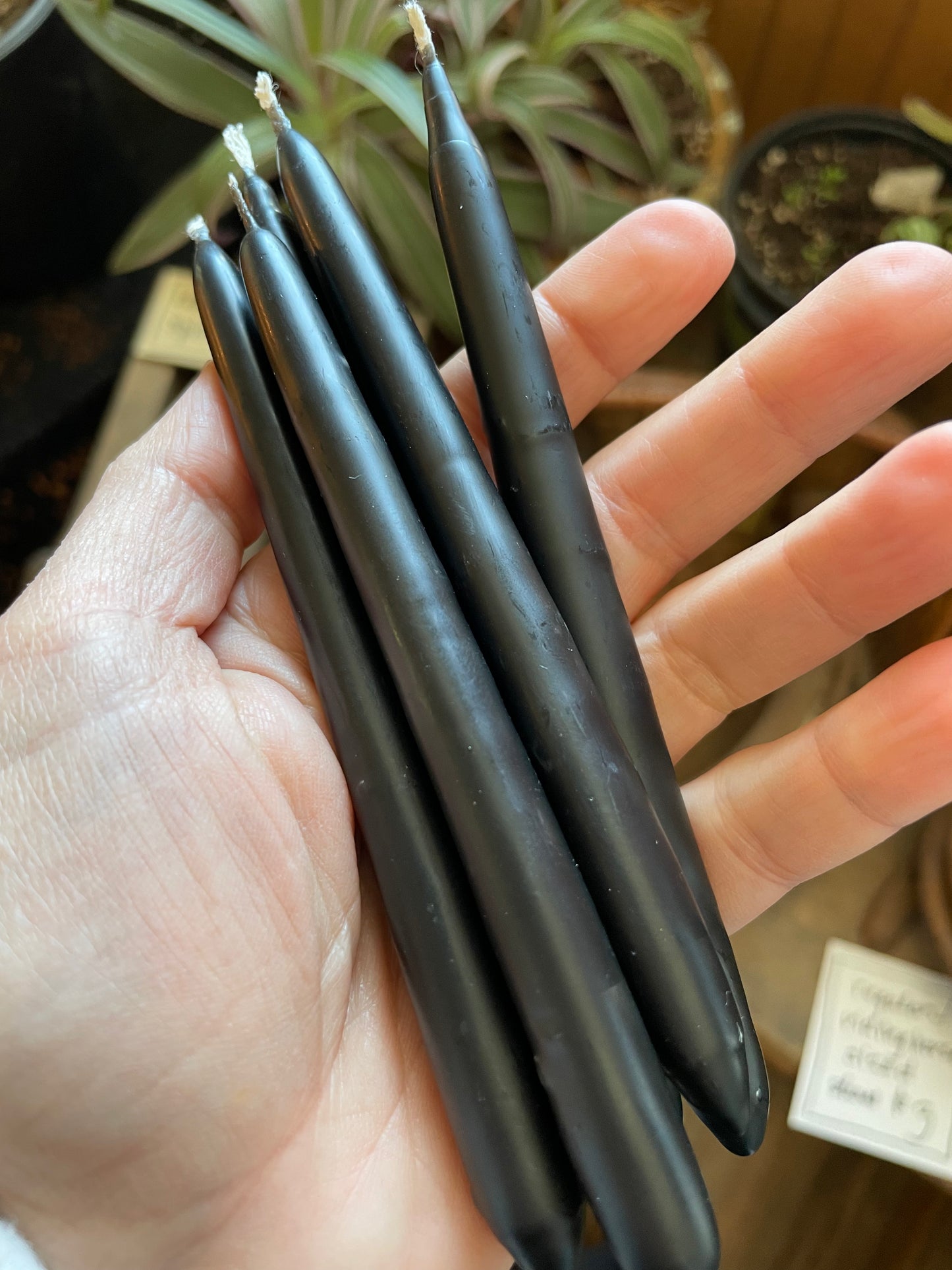 Swallow’s Nest Hand Dipped Beeswax Spell Candles