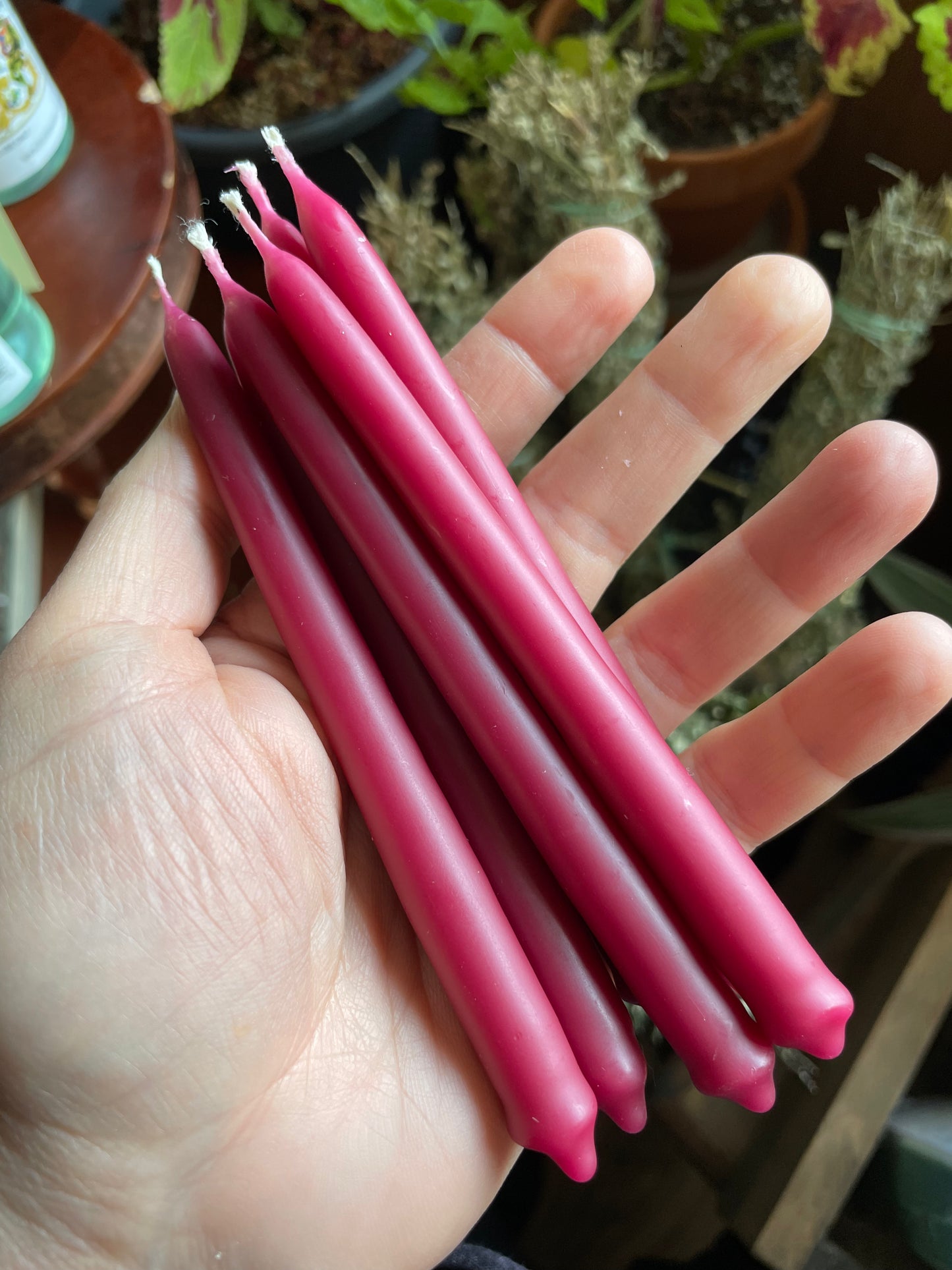 Swallow’s Nest Hand Dipped Beeswax Spell Candles