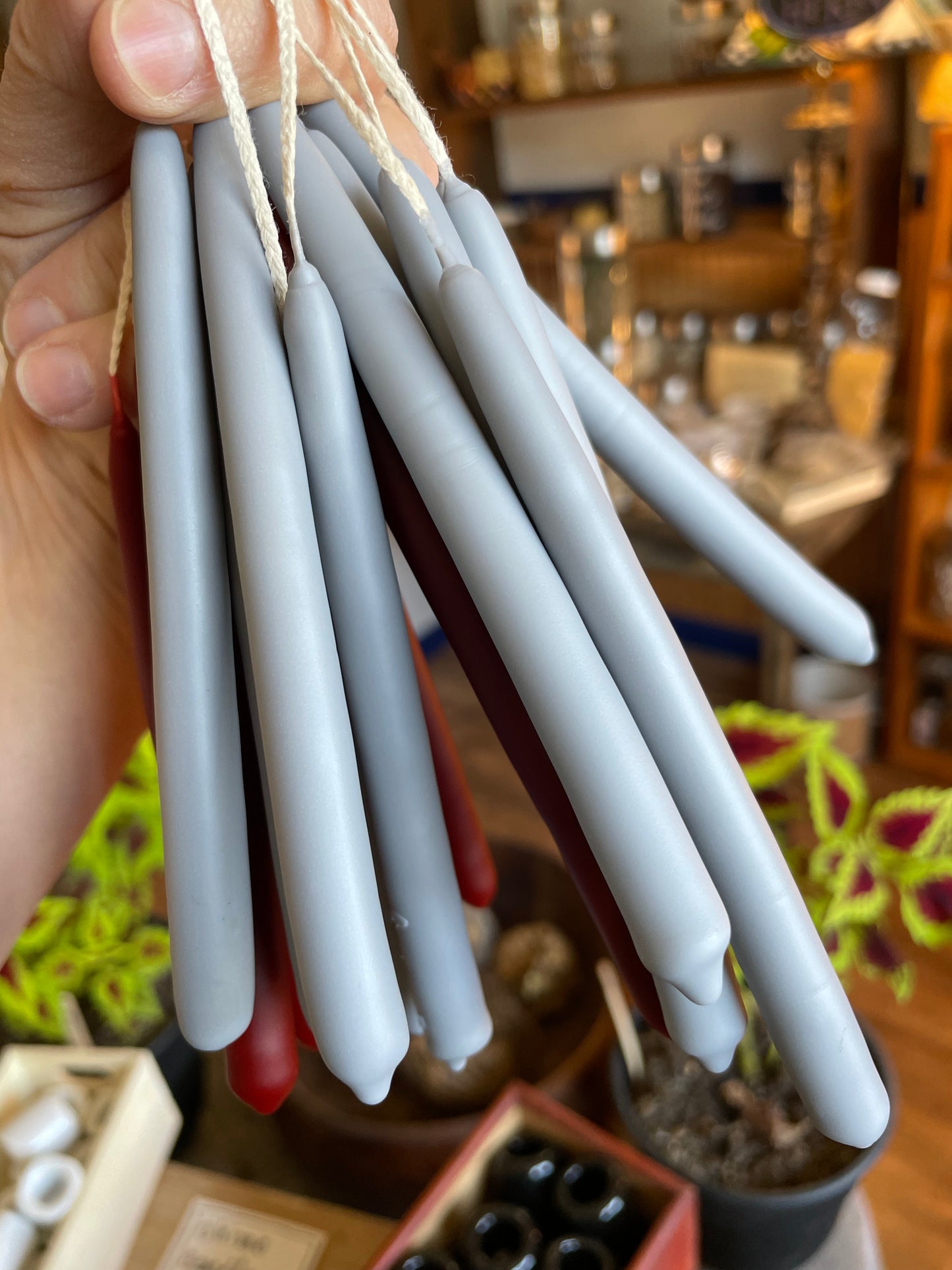 Swallow’s Nest Hand Dipped Beeswax Spell Candles