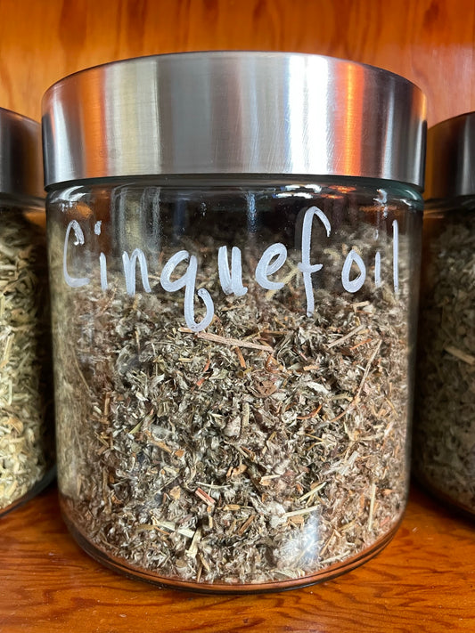 Wildcrafted Cinquefoil, dried, cut