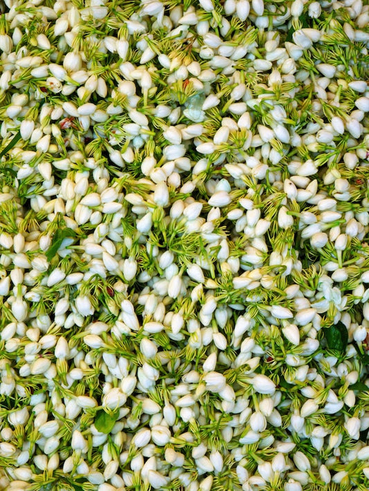 Jasmine Flowers, dried, whole