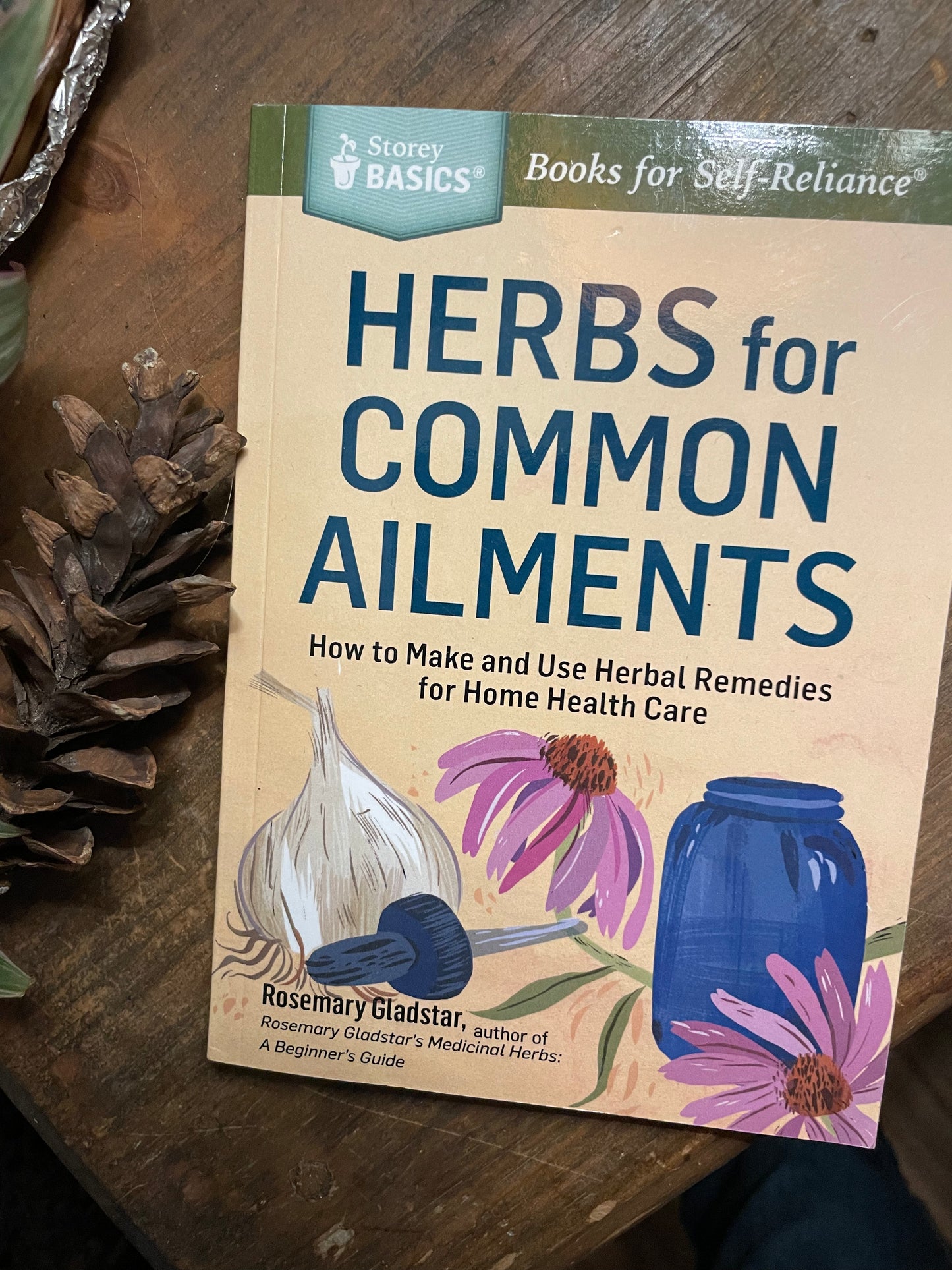 Herbs for Common Ailments