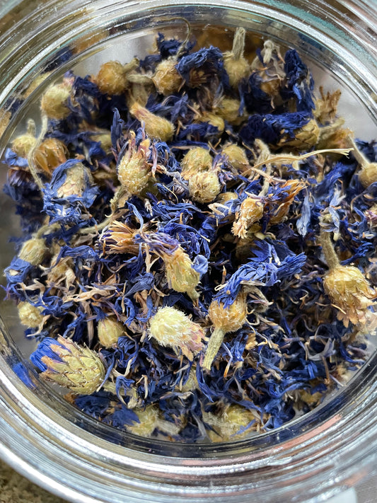 Wildcrafted Cornflower, dried, whole